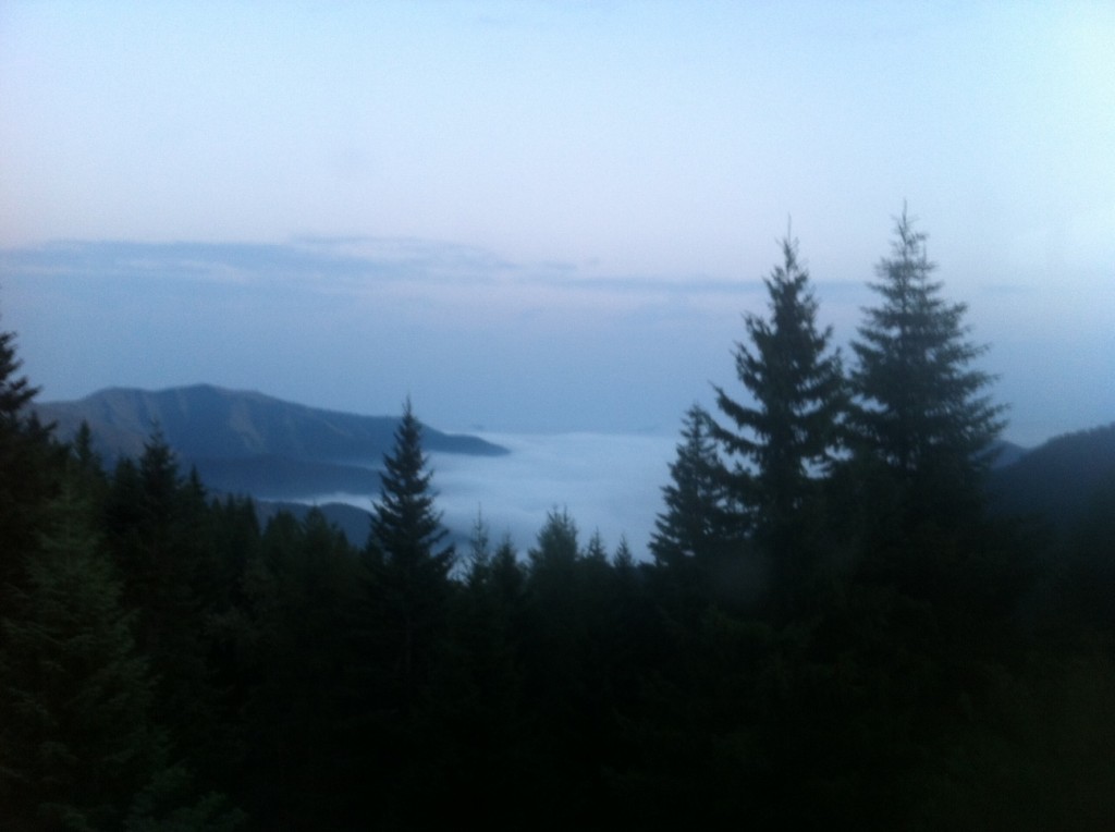 photo4